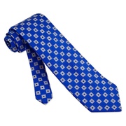 Cobalt Silk Burgundy Boxes Tie