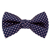 Navy Blue Polyester Burningham Polka Dot Pretied Bow Tie